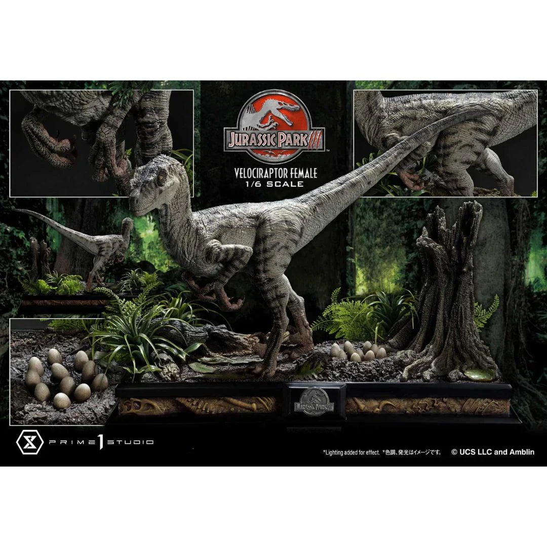 Prime 1 Studio Jurassic Park III (Film) Velociraptor Female Bonus Version Statue