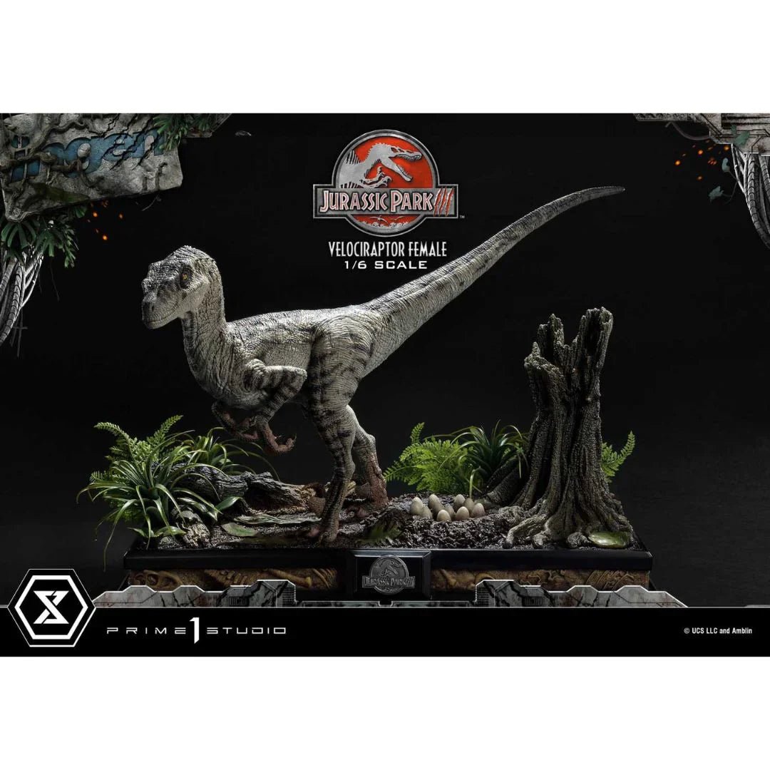 Prime 1 Studio Jurassic Park III (Film) Velociraptor Female Bonus Version Statue
