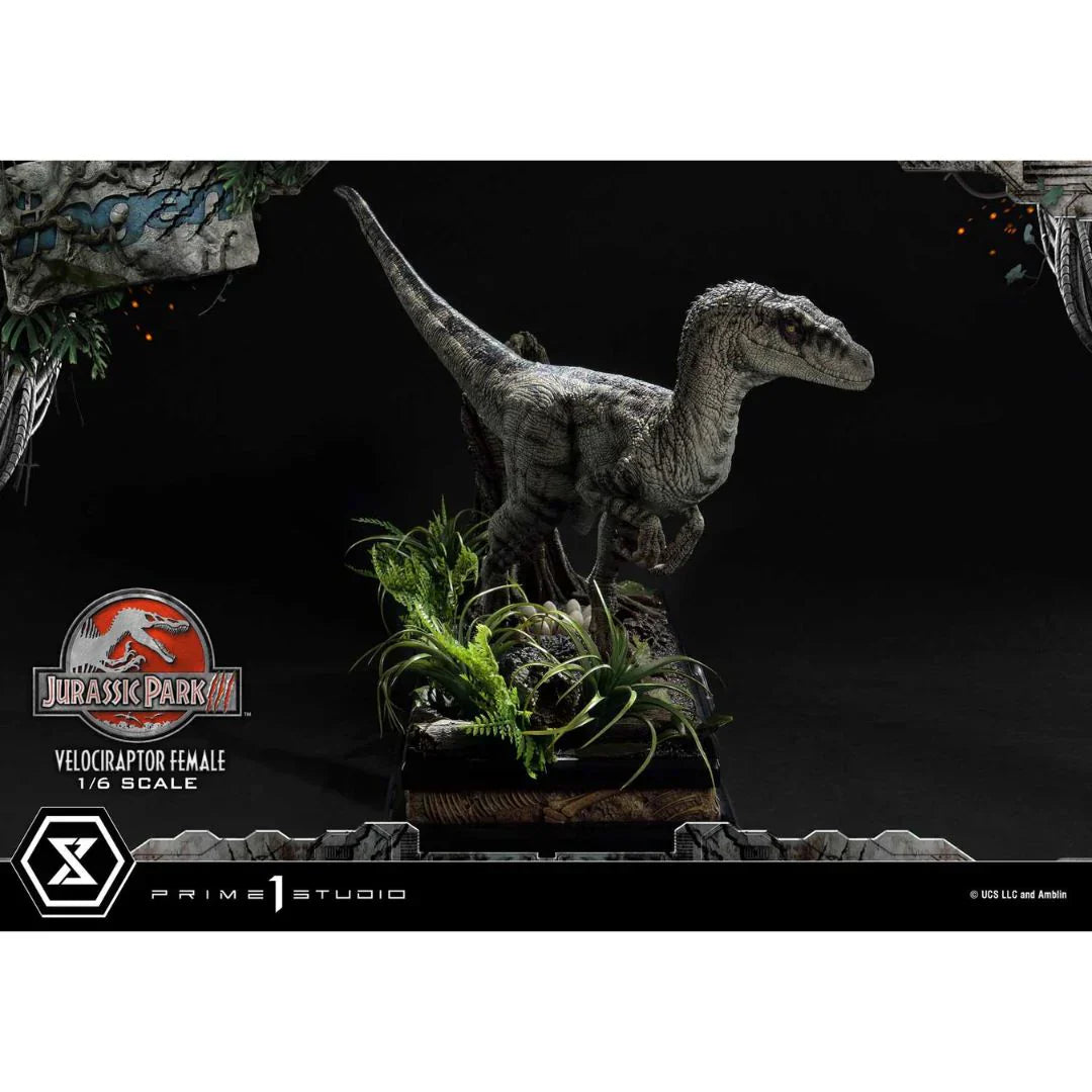 Prime 1 Studio Jurassic Park III (Film) Velociraptor Female Bonus Version Statue