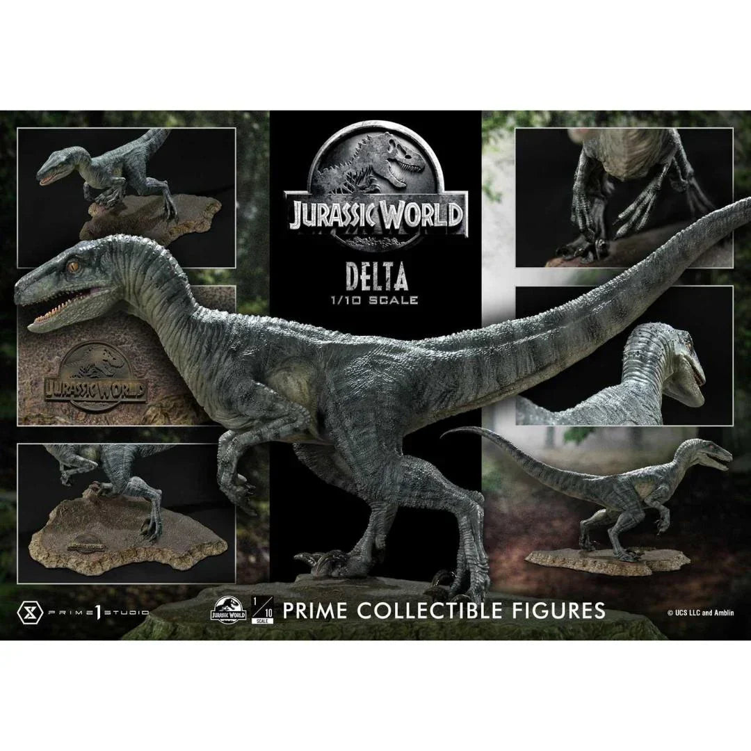 Jurassic World (Film) Delta Limited Edition Statue by Prime 1 Studio