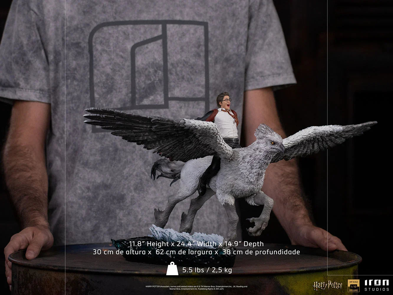 Harry Potter & Buckbeak  By Iron Studios